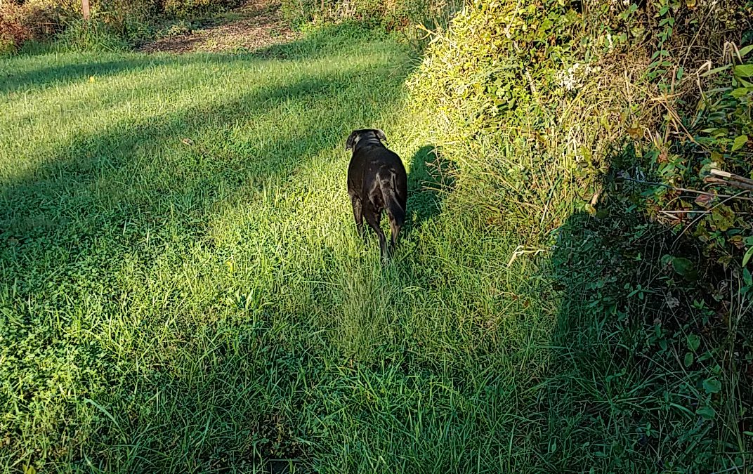 Day 16 – A Cool Humidity Free Day!